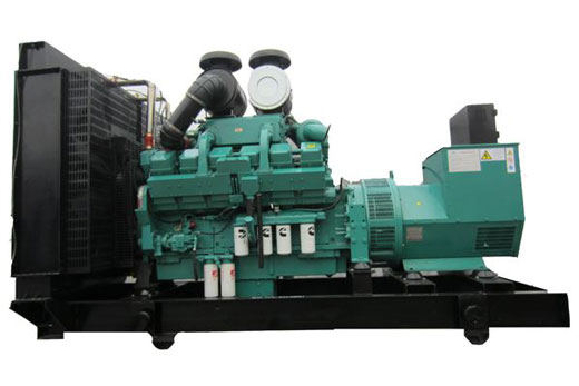 仁兴镇柴油发电机组